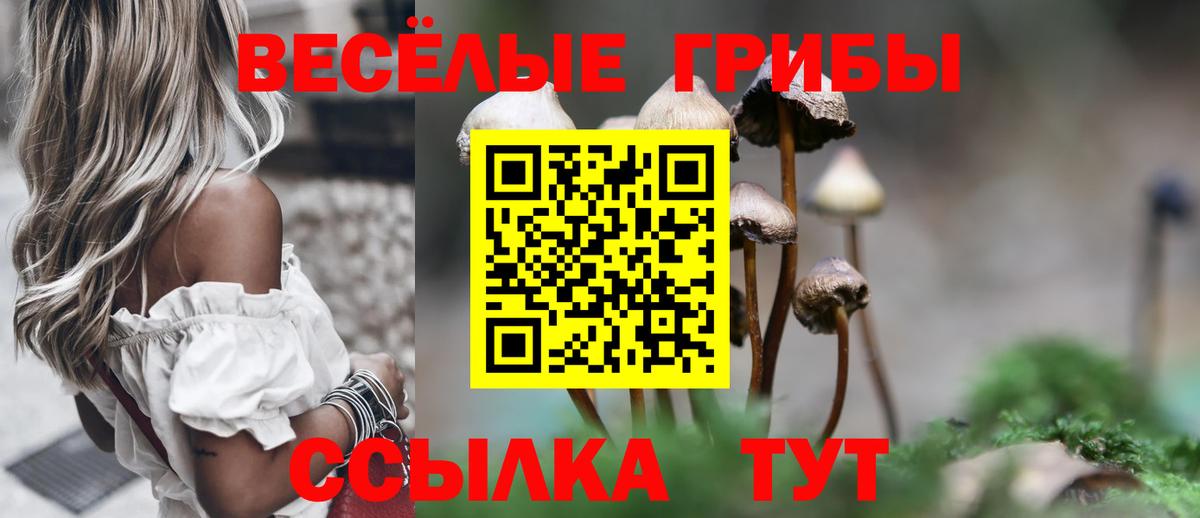 Псилоцибиновые грибы прущие грибы  Вход с VPN  Фрязино 