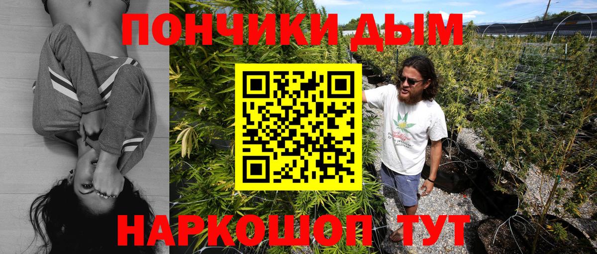 Шишки марихуана семена  Вход с VPN  Фрязино  Канабис тримм  Канабис гибрид  Канабис Ganja 